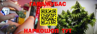 эйфоретик Малоярославец