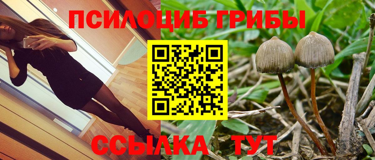 Псилоцибиновые грибы GOLDEN TEACHER  Псилоцибиновые грибы MAGIC MUSHROOMS  Вход с VPN  Татарск 